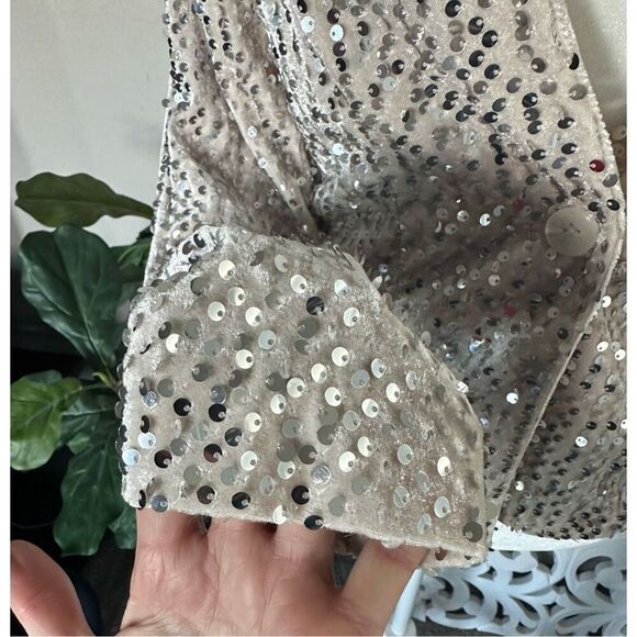 Sanctuary Velvet Charmed Blazer - Picture 7 of 11